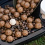 Dynamite Baits Session Pack - Monster Tiger Nut