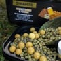 Dynamite Baits Session Pack - Sweet Tiger & Corn