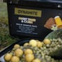Dynamite Baits Session Pack - Sweet Tiger & Corn
