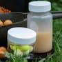 Dynamite Baits Session Pack Inc Pop Ups - Peppered Fruit