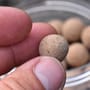 Dynamite Baits Hot Crab & Krill Food Bait Pop Ups 1