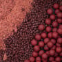 Dynamite Baits Robin Red Carp Bundle Lifestyle  5