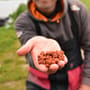 Dynamite Baits The Source Luncheon Meat 250g Close Up 1