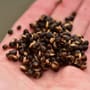 Dynamite Garlic Frenzied Hempseed 700g 1