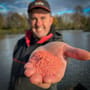 Fjuka Sensate Fish Accelerant Red Powder 100g In Use 2