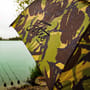 Fortis Recce Umbrella DPM Single Layer 2