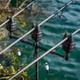 Fox Black Label QR Adjustable XL Fishing Buzzer Bar In Use 1