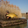 Fox Carpmaster AIR Mat