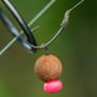 Fox Edges Armapoint Wide Gape Long Shank Fishing Hook In Use 1