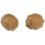 Fox Edges Essentials Tiger Nuts
