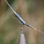 Fox Edges Tubing Lead Clip Ready Rigs 7