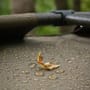 Fox EOS II Bivvy - 2 Person