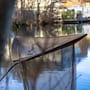 Fox Fishing Landing Net Cover In Use 2