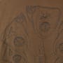 Fox Indicator T-Shirt - Khaki