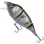 UV Striped Shiner
