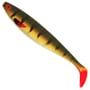 Fox Rage Pro Shad Natural Classics II Lure Perch Close Up
