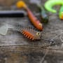 Fox Rage Ready Rig Dropshot Kit Lifestyle
