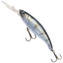 UV Striped Shiner