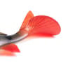 Perch