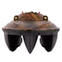 Future Carping V60 Fishing Bait Boat With GPS & Fish Finder 2