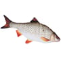 Gaby Fish Pillows The Roach