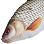 Gaby Fish Pillows The Roach Head