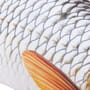 Gaby Fish Pillows The Roach Mini 2