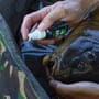 Gardner Intensive Care Liquid 60ml In Use 3