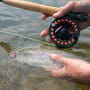 Greys GTS300 Fly Reel 2
