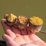 Guru Fast Release Pole Pots XL