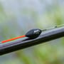 Guru Skimmer Wire Pole Floats 3