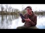 ***CARP FISHING TV*** BLACK LABEL COMPACT POD