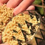 Korda Krusha Close Up In Use