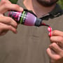 Kodex Ectoplasm Demo 1