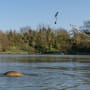 Korda Adjustable Fishing Zig Kit In Use 1