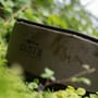 Korda Basix Carp Cradle Lifestyle 4