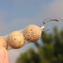 Korda Boilie Funnel Web PVA Fishing System In Use 4