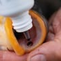 Korda Carp Care Kit 2020 In Use 4
