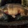 Korda Compac Dark Kamo Hybrid Mat 3