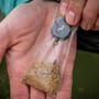 Korda Solidz Fishing PVA Bags In Use 2