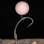 Korda Spinner Fishing Hook In Use