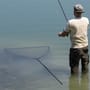 Korda Spring Bow 6ft Landing Net In Use 5
