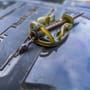 Korum Camo Bolt Buffer Bead - QC In Use 1