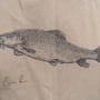 Korum Classic Barbel Hoodie Close Up 1