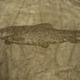 Korum Classic Barbel Microfibre Towel 1
