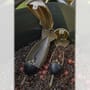 Korum Spod Fishing Boppers In Use 2