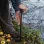 Korum Leverage Screw Bank Stick In Use 4