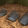 Korum River Cage Small Fishing Feeders In Use 4