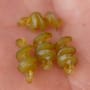Korum Smokescreen Meat Screws