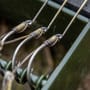 Korum Smokeshield Coated Fishing Braid Close Up Hooks